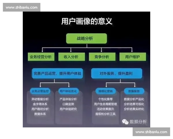 统治力的全面展现与深度解析在现代社会中的影响与意义